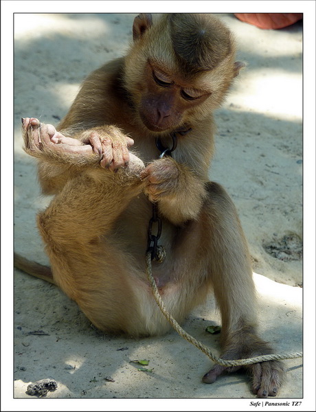 2012 - 03 - Koh Lanta 18